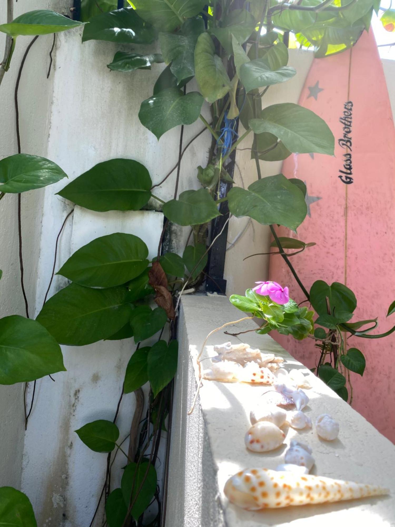 Maavaharu Guest House Himmafushi Exterior photo
